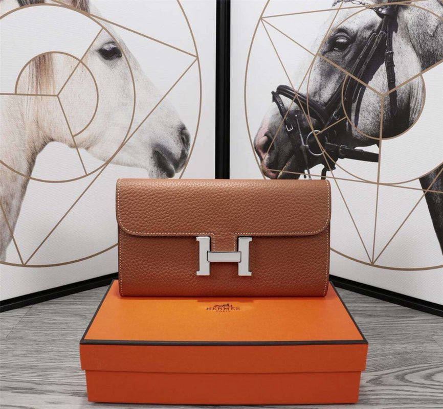 Louis Vuitton Constance brown bag – front view