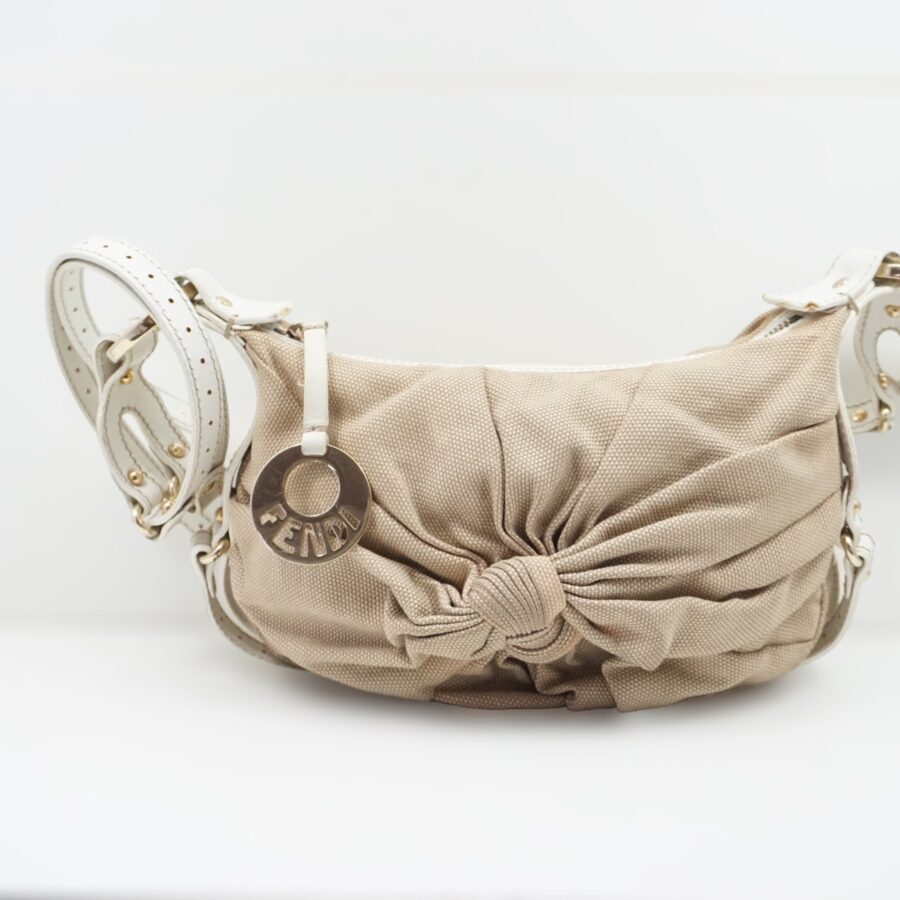 Fendi Crossbody | Studio Nafay