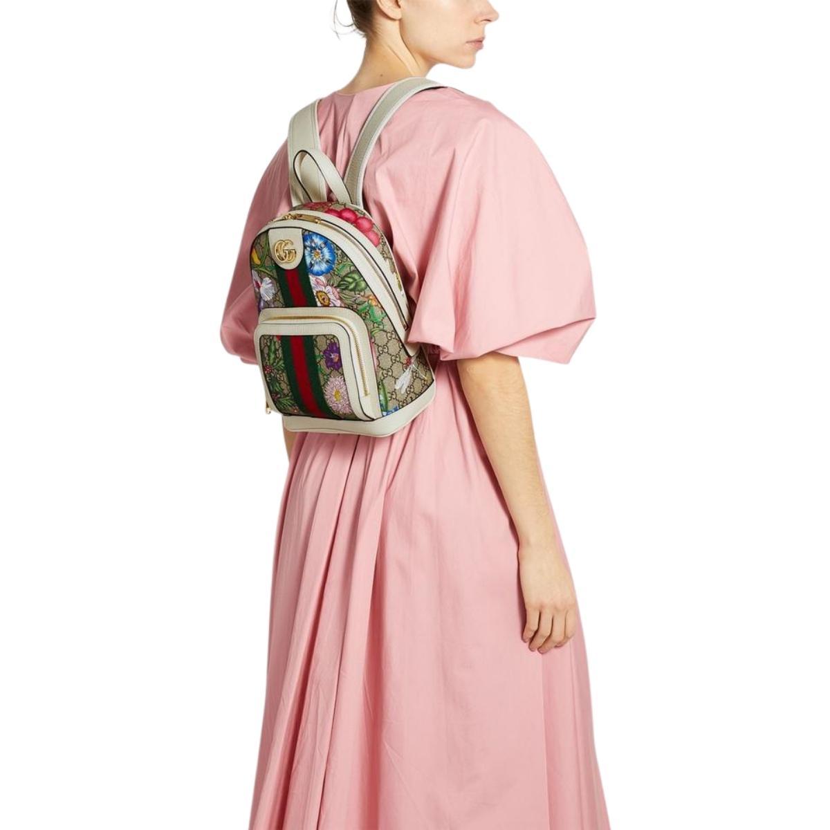 Gucci Ophidia bag – front view